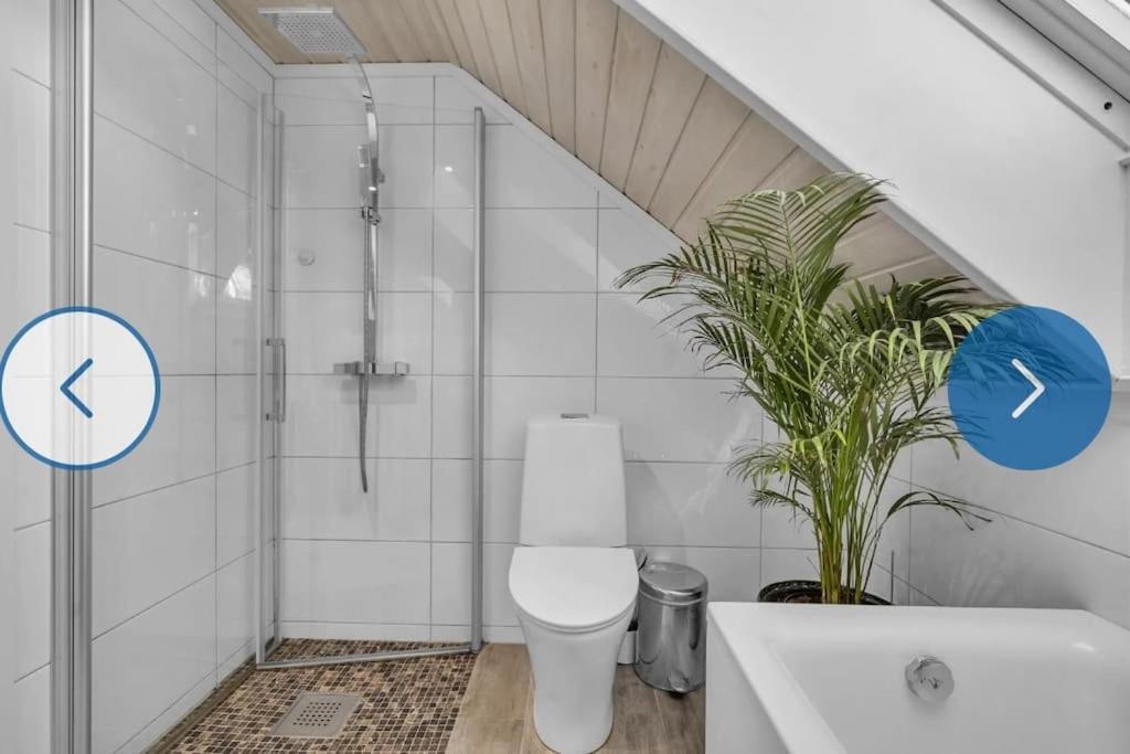 Feriehus Feriebolig Pa Sorlandet Kristiansand